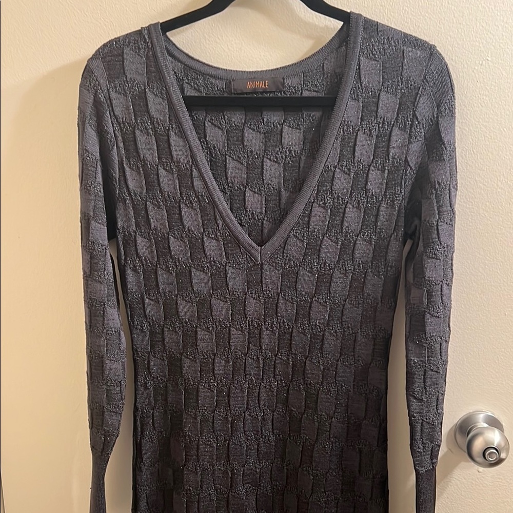 Animale Gray V-Neck Sweater for Women